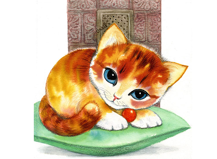 kote
