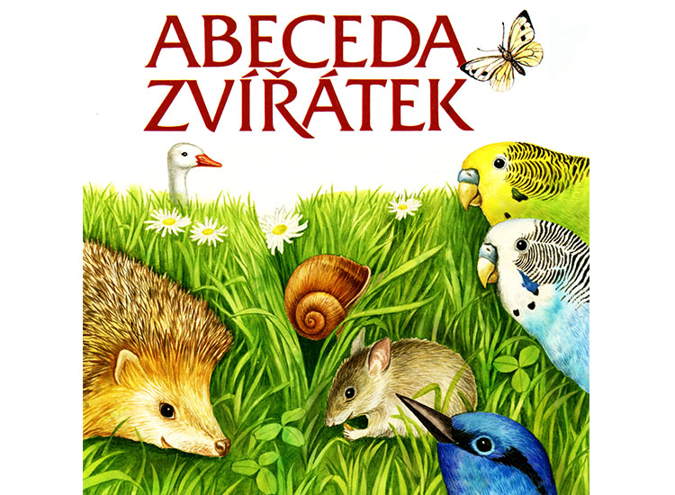 abeceda zv