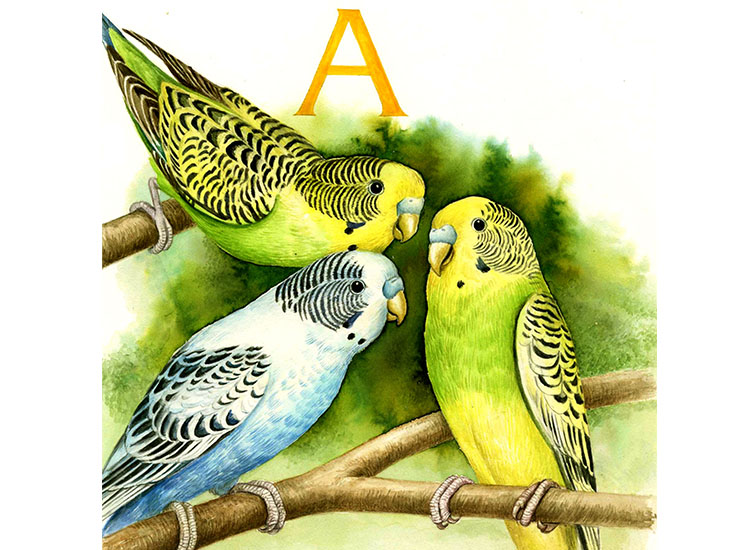 ilustrace 1and