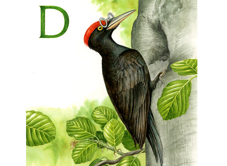 ilustrace 2 d