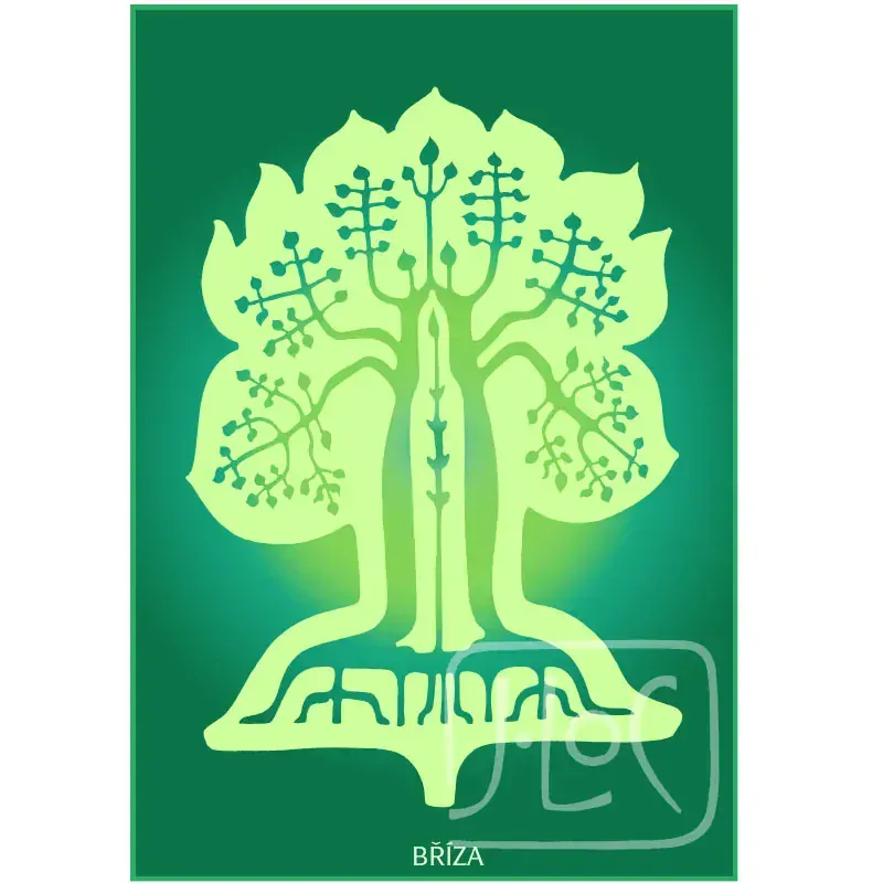 Symbol stromu - karta