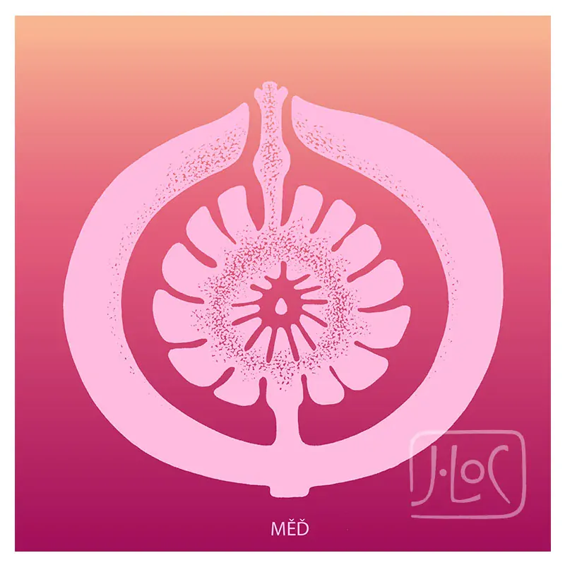 Symbol kamene - karta