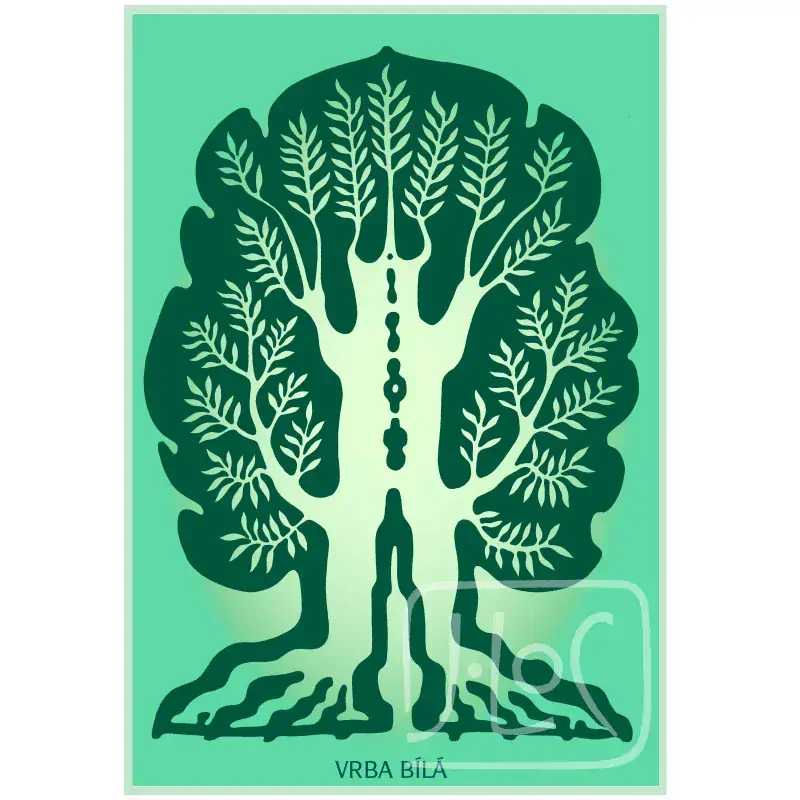 Symbol stromu - karta