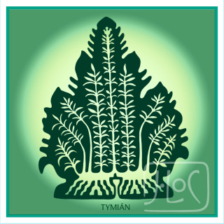 Tymián