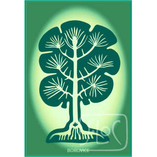 Borovice