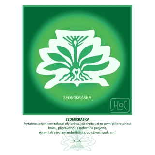 Symbol Sedmikrásky 2020