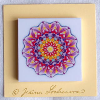 Radosti a pro podnikání