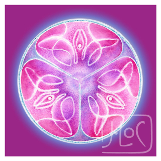 Odhalen i skrytý jsem