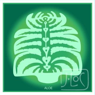 Aloe