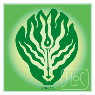 Jitrocel